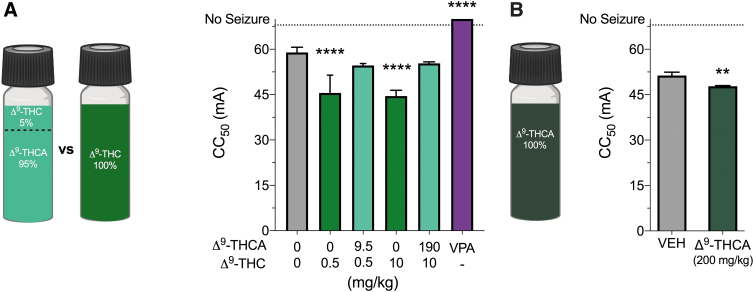 The effects of Δ9-THCA in the MEST test. (A) A Δ9-THCA/Δ9-THC mixture and pure Δ9-THC were used in the MEST acute seizure model. Cannabinoid content of the Δ9-THCA/Δ9-THC mixture was 95% Δ9-THCA and 5% Δ9-THC. The CC50 exhibits a seizure with maximal hindlimb extension after acute i.p. treatment with vehicle (VEH, gray bar), pure Δ9-THC (green bar), a Δ9-THCA/Δ9-THC mixture (light green bar), or sodium valproate (VPA, purple bar). Dose of pure Δ9-THC matches that in the Δ9-THCA/Δ9-THC mixture. Δ9-THC (0.5 and 10 mg/kg) significantly reduced the CC50 threshold for MES seizures. Sodium valproate (300 mg/kg) treatment protected mice from MES-induced tonic extension. Error bars represent SEM, with n=12 per treatment (****p<0.0001; one-way ANOVA followed by Dunnett's post hoc compared with vehicle-treated mice). (B) The MEST test was repeated to compare CC50 values after treatment with vehicle (VEH, grey bar) or 200 mg/kg pure Δ9-THCA (dark green bar) that contained <0.5% Δ9-THC impurity. Δ9-THCA treatment significantly reduced the CC50 compared with vehicle treatment. Error bars represent SEM, with n=12 per treatment (**p<0.01; Student's t-test). MEST, maximal electroshock threshold.