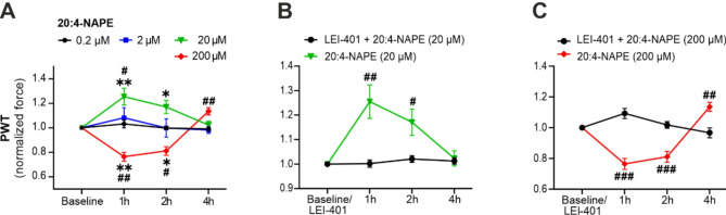Intrathecal treatment with 20:4-NAPE has antinociceptive and pronociceptive effects on mechanical sensitivity based on concentration and NAPE-PLD activation. (A) The PWT to mechanical stimuli measured by the von Frey test after i.t. administration of four concentrations of 20:4-NAPE (0.2 µM, 2 µM, 20 µM, and 200 µM) was normalized to the baseline before i.t. treatment. Administration of 20:4-NAPE at a lower concentration (20 µM) increased the PWT, while a higher concentration (200 µM) decreased the PWT. (B) Pretreatment with the NAPE-PLD inhibitor LEI-401 (10 µM, i.t.) prevented the PWT increase induced by 20 µM 20:4-NAPE. (C) Pretreatment with LEI-401 (10 µM, i.t.) prevented the PWT decrease induced by 200 µM 20:4-NAPE. The data after 20 and 200 µM 20:4-NAPE application in (B,C) are the same as in (A). The statistical analysis: non-parametric Kruskal-Wallis test vs. baseline, one-way ANOVA with Dunnett’s test vs. 0.2 µM 20:4-NAPE (A); t-test vs. LEI-401 (B,C); criteria for significance ∗p < 0.05, ∗∗p < 0.01 vs. baseline before i.t. treatment, #p < 0.05, ##p < 0.01, and ###p < 0.001 vs. 0.2 µM 20:4-NAPE or LEI-401 treatment.