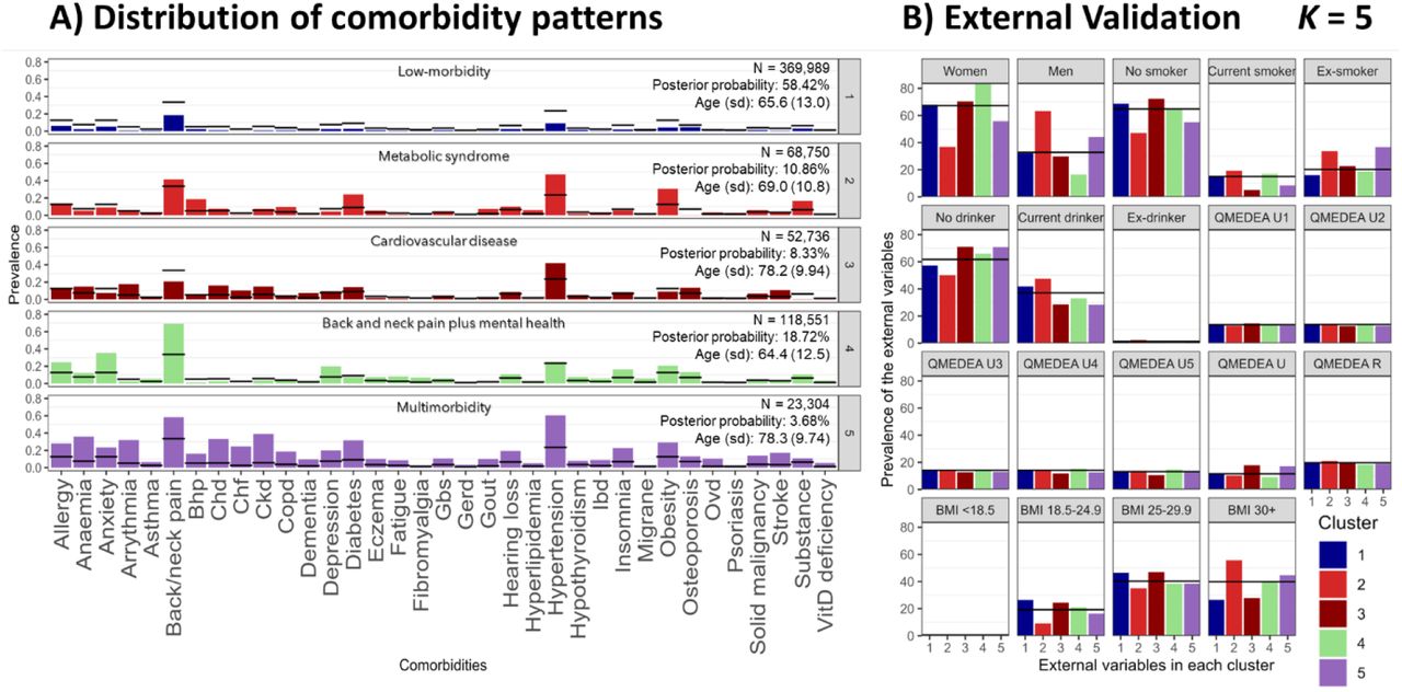 Latent Class Analysis cluster solution 5.A) Distribution of comorbidity patterns and B) External validation. Cluster colours are consistent in both sub-plots. Abbreviations: BMI, body mass index; Bhp, benign prostate hypertrophy; Chd, coronary heart disease; Ckd, chronic kidney disease; Copd, chronic obstructive pulmonary disease; Gbs, gall bladder stone; Gerd, gastroesophageal reflux disease; Ibd, inflammatory bowel disease; Ovd, other vessel diseases; Substance, substance abuse; QMEDEA, deprivation quintile index MEDEA where U is urban area (U1 is the less deprived and U5 the most), and R is rural area.