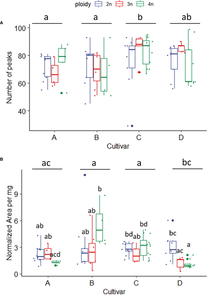 (A) Boxplot of total number of peaks of a headspace GC-MS analysis of diploid (2n), triploid (3n) and tetraploid (4n) plants of four Cannabis sativa L. cultivars. Kruskal-Wallis rank sum test: Cultivar; χ2 = 12.624, p = 0.005. Ploidy; χ2 = 0.8091, p = 0.667. Different letters above bars indicate significant differences at p<0.05 with a Kruskal-Wallis and a post-hoc all-pairs Dunn test. (B) Boxplot of total peak area per mg dry weight of a headspace GC-MS analysis of diploid, triploid and tetraploid plants of four Cannabis sativa L. cultivars. A logarithmic transformation was performed as indicated by a Box-Cox test. Two-way ANOVA: Cultivar; F3,76 = 6.558, p = 0.00053. Ploidy; F2,76 = 2.741, p = 0.071. Cultivar x Ploidy; F6,76 = 4.082, p = 0.001. Different letters above bars indicate significant differences at p<0.05 with a Tukey post-hoc analysis.