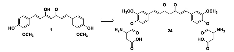 Chemical structure of the new glutamic acid-curcumin hybrid 24 with remarkable effect on GSH increasing levels under OS conditions.