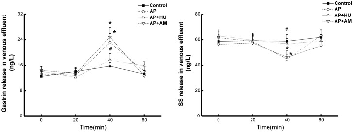Effects of HU210 and AM251 on gastrin and somatostatin (SS) release from the isolated rat stomach.As described in MATERIALS AND METHODS, the levels of gastrin and somatostatin were measured in the gastric venous effluent of rats during 60 min perfusion with or without the administration of HU210 or AM251. Each specimen was measured three times and data are expressed as mean ± SEM (n = 6). *P<0.05 vs control, #P<0.05 vs those in AP group.