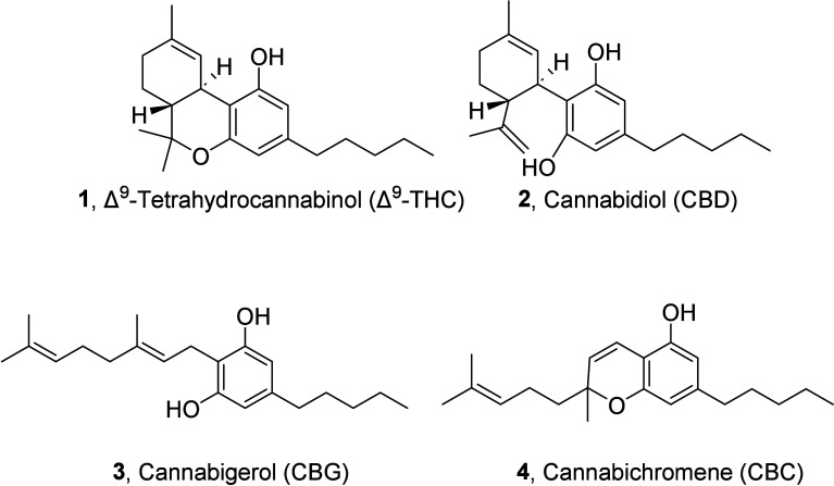 Chemical structure of Δ9-THC, CBD, CBG, and CBC.