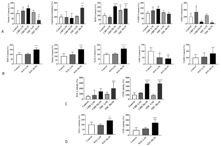 (A,B) Effects of CBD, THC, and WIN on markers of oxidative stress in 1771 canine lymphoma cells. All markers of oxidative stress were measured spectrofluorometrically. (A) CBD treatment is associated with a dose-dependent increase in nitrite content, reactive oxygen species (ROS) generation, and NADH and lipid peroxidation, and a simultaneous dose-dependent decrease in the GSH content in lymphoma-treated cells when compared to the control. THC demonstrates a dose-dependent increase in lipid peroxidation and ROS content and a decrease in GSH and nitrite contents. A significant effect could not be demonstrated in the cellular content of NADH in cells treated with THC. (B) The synthetic cannabinoid (WIN) shows a significant dose-dependent increase in nitrite, ROS, and H2O2 contents and a decrease in GSH compared to the vehicle-treated control cells. (C,D) Effects of exogenous cannabinoids on Interleukin-1β-converting enzyme (ICE-1) and cyclooxygenase (COX) activities, showing a significant increase in lymphoma cells treated with THC and WIN at a 50 µM final concentration. CBD treatment increases cox activity significantly by does not alter the ICE-1 level. The vehicle treatment (50 μM) does not affect the activity of ICE-1 or COX. The results are expressed as % change compared to the vehicle-treated control, with mean ± SD. * p < 0.05, ** p < 0.01, *** p < 0.001, **** p ≤ 0.0001. n = 5. (asterisk significant compared to the control).