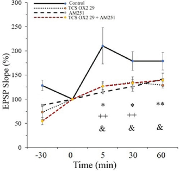 Time-dependent changes in CA1 responses to Schaffer collateral stimulation following an HFS