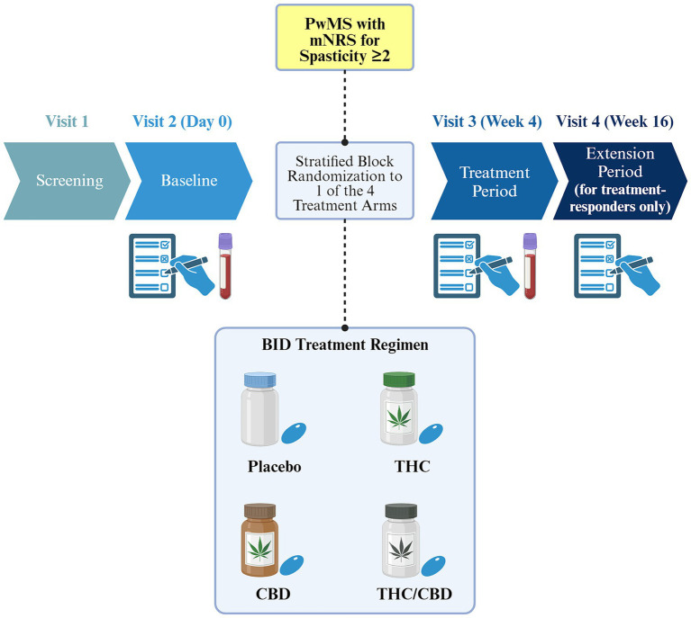 Overview of the CANSEP study design. Only treatment responders are eligible to the extension phase (i.e., those with an improvement of at least one point on the mNRS). Blood samples will be collected at baseline and after the treatment period, while primary, secondary, and exploratory outcomes will be assessed starting from the baseline visit. Different treatment bottles are used for illustrative purposes only. PwMS, persons with multiple sclerosis; mNRS, mean score of the Numeric Rating Scale over 7 days; CBD, cannabidiol; THC, tetrahydrocannabinol; BID, twice a day. Created with BioRender.com.