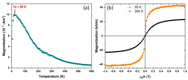 Magnetic properties of the as-made NPs: (a) Magnetization (M) vs. temperature (T) data of the as-made NPs; and (b) hysteresis loops of the as-made NPs at 300 and 50 K.