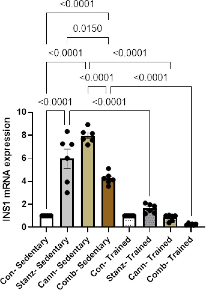 Insulin expression levels in testis tissue across different experimental groups: Control (Con), Stanozolol (Stanz), Cannabis (Cann), and Combined treatments (Comb), with each group further exposed to Sedentary and Training condition. Data are expressed as mean ± SEM; Significance was tested at p < 0.05 using one-way ANOVA followed by Tukey’s post hoc test for comparison (n = 6/group).