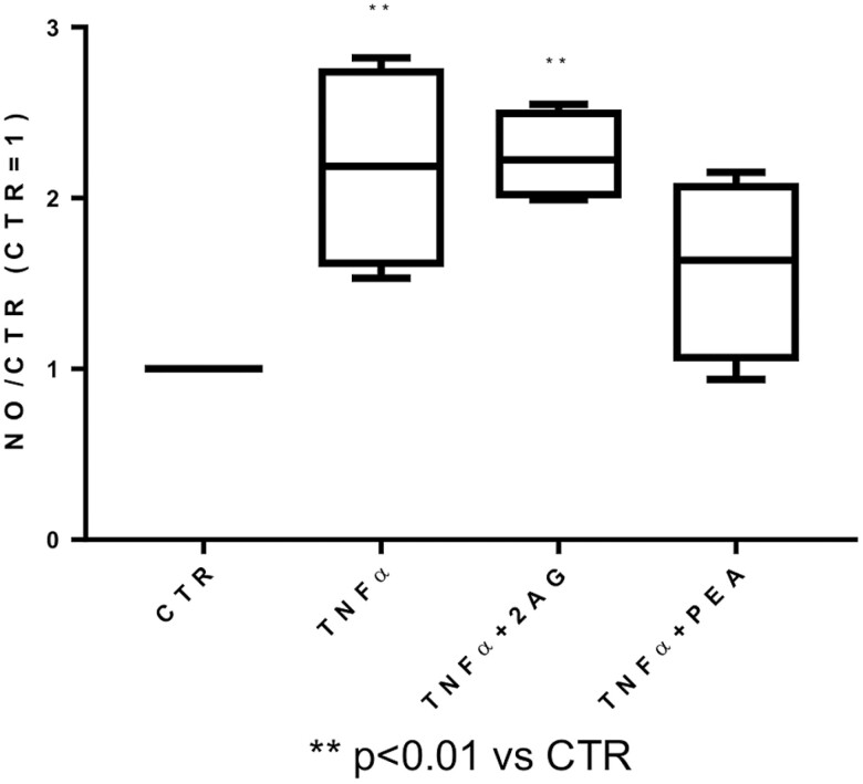 Quantification of NO by 2AG (1 pg/mL) and PEA (0.5 pg/mL) treatments NO production, analyzed in CH culture medium (n = 4 independent experiments) at day 3, is expressed as [nitrite] µM. Data were expressed as relative values (CTR = 1).