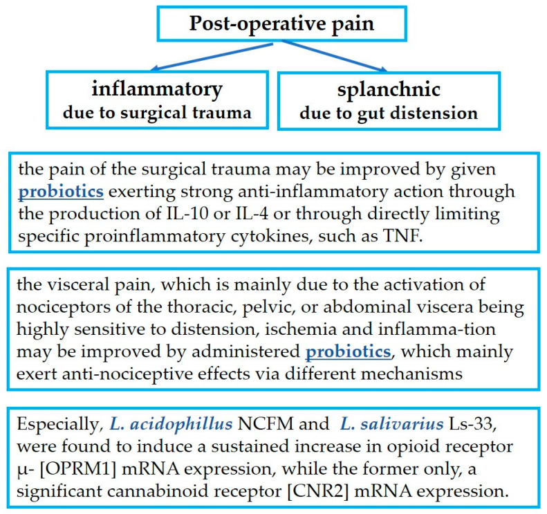 Probiotics in postoperative pain management.