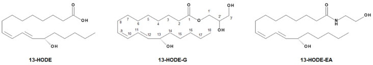Chemical structures of 13-HODE, 13-HODE-G, and 13-HODE-EA.