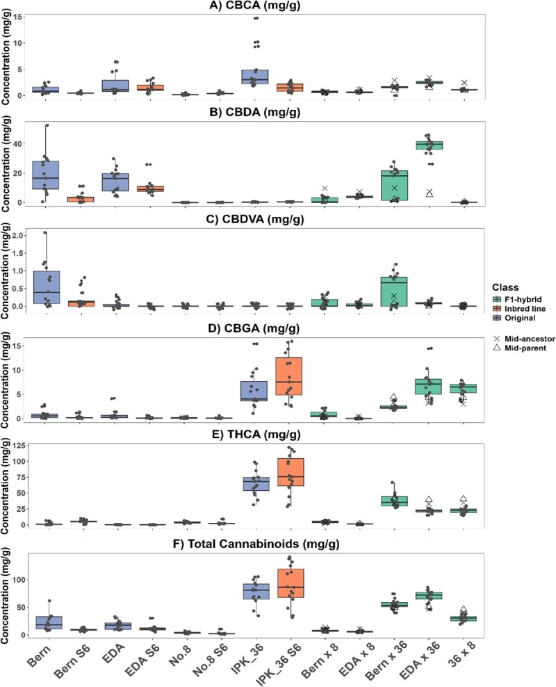 Comparison of major cannabinoid concentrations (mg/g) of original (blue), IBL (orange), and F1 hybrid (green) lines (n = 15), (A) (CBCA), (B) CBDA, (C) CBDVA, (D) CBGA, (E) THCA, (F) Total cannabinoids, variance between lines was assessed via Levene’s test and differences in means by Kruskal–Wallis test, refer to Table S3 for statistical groupings and Table 3 for the parentage of F1 hybrid lines.