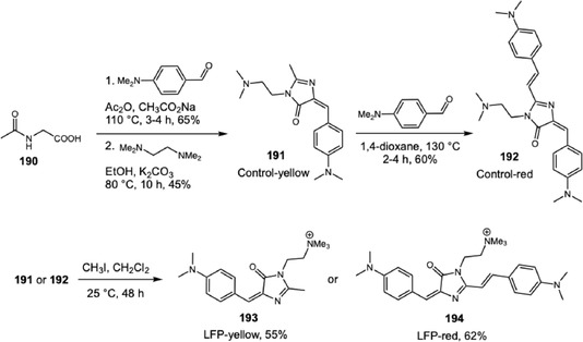 Green fluorescent protein‐based probes through classical Erlenmeyer azlactone synthesis.