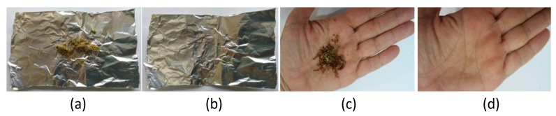 Images obtained in the studies for the analysis of residues of cannabis on: aluminum foil in contact with cannabis (a) and after the removal of the plant (b); hand of a volunteer in contact with cannabis (c); and after the removal of the plant (d).