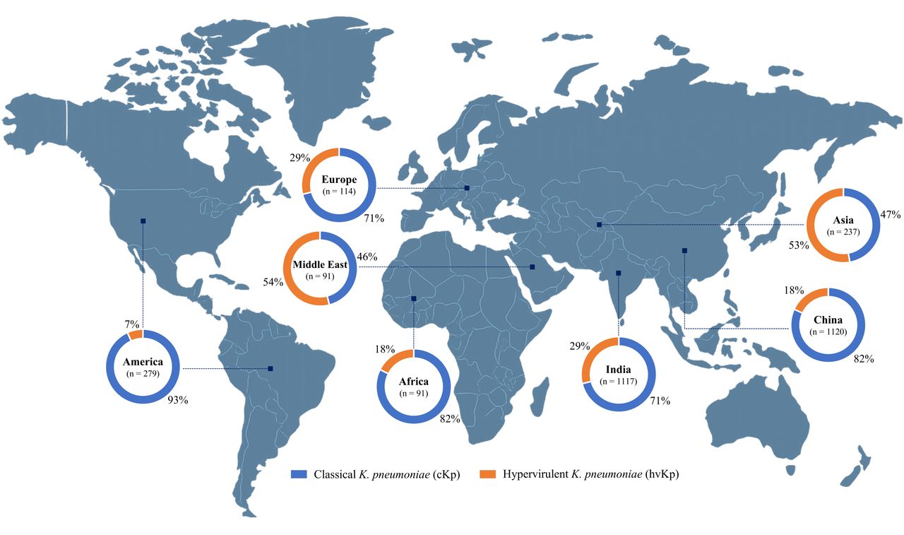 Global distribution and classification of 4,187 K. pneumoniae isolates.