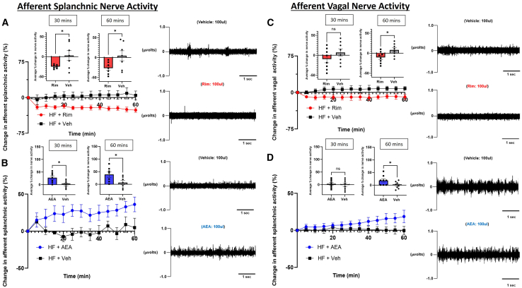 Effects of CB1 agonist/antagonist on direct neuronal activity of splanchnic vs. vagal afferent fibers(A and B) Direct multi-fiber recording of afferent splanchnic nerve activity following administration of (A) rimonabant (Rim) vs. vehicle (Veh) or (B) anandamide (AEA) vs. Veh.(C and D) Direct multi-fiber recording of afferent vagal nerve activity following administration of (C) Rim vs. Veh or (D) AEA vs. Veh. A representative neurogram on the left side corresponds to each intervention at times 30 and 60 min. n = 7–8.All results are presented as mean ± SEM (error bars). Student’s t test was used to compare the means of each diet. Statistical significances are denoted with asterisks: ∗p ≤ 0.05.