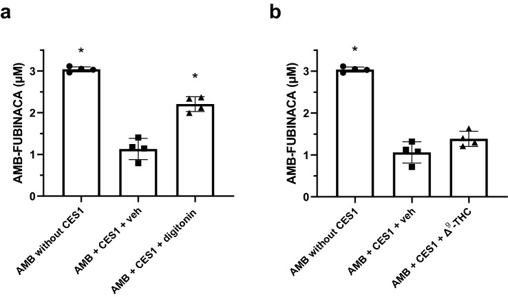 Effect of digitonin and Δ9-THC on AMB-FUBINACA metabolism with CES1. Recombinant CES1 was incubated with AMB-FUBINACA (AMB; 3 μM) in the presence of a digitonin (100 μM) or b Δ9-THC (10 μM) for 2 min. Concentrations of AMB-FUBINACA were determined using HPLC–DAD analysis at 299 nm. Negative controls contained no HLM (left bars), and vehicle controls (veh; middle bars) contained the corresponding solvents. Data are expressed as the mean ± SD of four independent experiments, each conducted in duplicate. Significance was determined by a one-way ANOVA followed by Tukey’s post-hoc test; significatnly increased from the vehicle control, P < 0.05