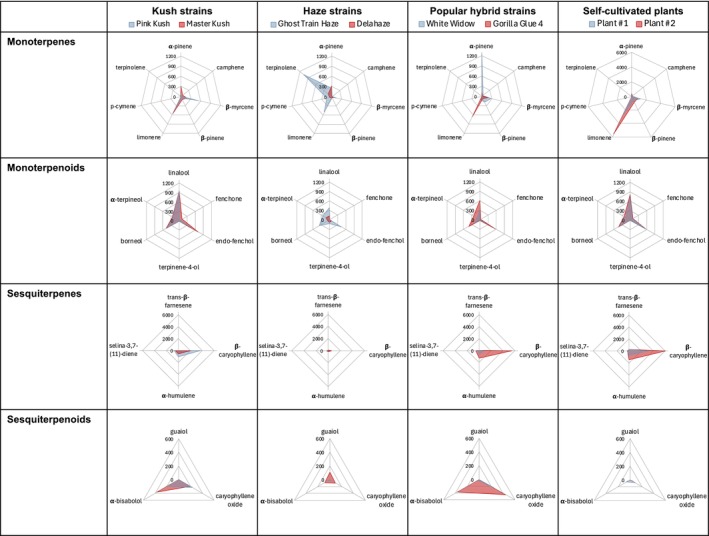 Radar charts of the cannabis strains analysed. To simplify the presentation, only terpenes that were detected in at least one sample at > 100 μg/g were included in the plots. Due to large differences in content, scaling for monoterpenes differs between medicinal cannabis flowers and self‐grown flowers for better representation.