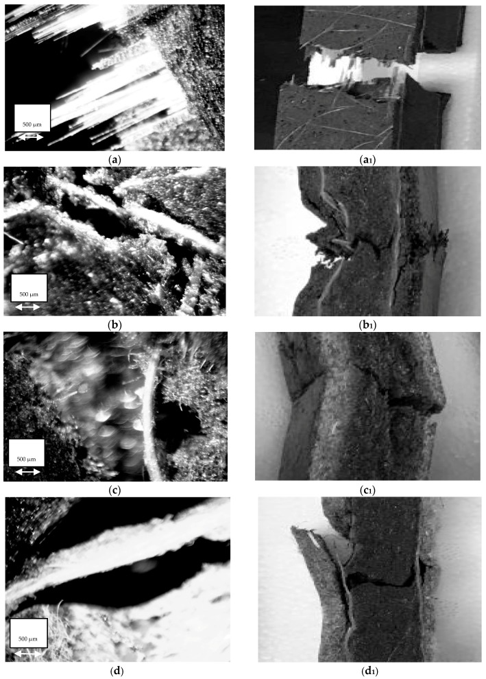 Light microscopy images captured from the tension side of all the flexurally broken samples. (a,a1) commercial glass (G’G’); (b,b1) glass (GG); (c,c1) only flax (F); (d,d1) hybrid flax and glass (FG); (e,e1) only hemp (H); and (f,f1) hybrid hemp and glass (HG).
