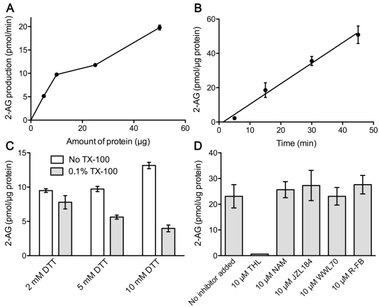 Optimization assays for the measurement of DGL activity-dependent 2-AG production in samples of the nuclear matrix obtained from intact nuclei of the adult rat cortex using 200 µM SAG as substrate. (A) Analysis of 2-AG production as the amount of nuclear matrix protein increases. (B) Analysis of 2-AG accumulation in the nuclear matrix over time. (C) Influence of the reducing agent DTT and of the detergent TX-100. (D) Effects of DGL, serine-hydrolase and COX2 inhibitors. Incubation of samples with the nonselective DGL inhibitor tetrahydrolipstatin (THL) completely abrogated 2-AG accumulation. MGL inhibitors, N-arachidonoyl maleimide (NAM) and JZL184; ABHD6 inhibitor, WWL70; COX2 inhibitor, R-flurbiprofen, (R-FB). Data are mean ± SEM (n = 3).