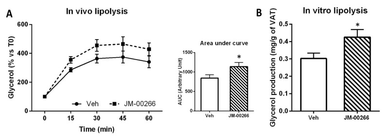 Effect of JM-00266 on adipose tissue lipolysis. (A): Plasma glycerol appearance and corresponding AUC0–2 h calculations in mice treated with JM-00266 or vehicle 4 h before i.p. injection of BRL37344 (ß3-adrenergic receptor agonist, 5 mg·kg−1). Results are expressed as mean ± SEM (n = 5 per group), * p < 0.05. (B): Glycerol produced by visceral adipose tissue explants prepared from animals (n = 4 per group) was injected 4 h earlier with a dose of JM-00266 (10 mg·kg−1) or vehicle and cultured in DMEM-HAM/F12 medium supplemented with 1% BSA for 1 h. Results are expressed as mean ± SEM, * p < 0.05.