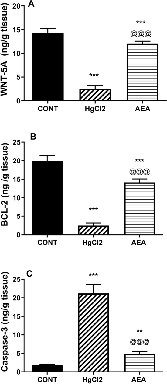 Effect of AEA on renal contents of (A) WNT-5A and (B) BCL-2, as well as (C) caspase-3 activity in HgCl2-induced AKI in rats. Data are expressed as the mean of 6 rats ± SD. **P < 0.01 and ***P < 0.001 compared with CONT and @@@P < 0.001 compared with HgCl2 groups using one-way ANOVA followed by Tukey's Multiple Comparison post hoc test. AEA anandamide, AKI acute kidney injury, BCL-2 B-cell lymphoma-2, CONT control, HgCl2 mercuric chloride.
