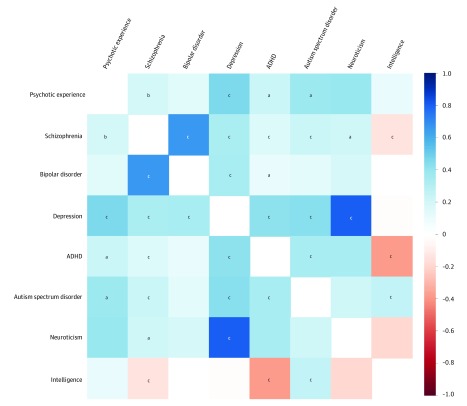 Genetic Correlation AnalysisColor corresponds to the strength of the correlation, and the letters (a, b, and c) correspond to the statistical significance of the correlation. Positive correlations are shown in blue and negative correlations in red. ADHD indicates attention deficit/hyperactivity disorder.aP < 6.25 × 10−3.bP < 1.00 × 10−4.cP < 1.00 × 10−5.