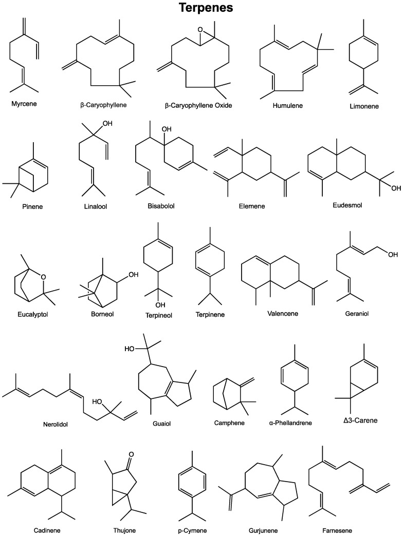 Structure of various terpenes found in the Cannabis plant.