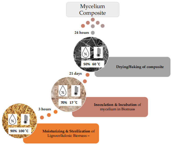 Methodology of sample formation technique.
