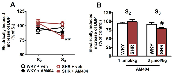 Influence of the endocannabinoid membrane transporter (EMT) inhibitor AM404 on the electrically (0.75 Hz, 1 ms, 50 V, 5 pulses) induced increase in diastolic blood pressure (DBP) in pithed and vagotomised spontaneously hypertensive rats (SHR) and normotensive Wistar–Kyoto rats (WKY). AM404 1 and 3 µmol/kg (i.v.) was given 5 min before S2 and S3, respectively; controls received vehicle instead. Each rat was injected with pancuronium (0.8 µmol/kg) 5 min before S1. The values are expressed as % of the first stimulation (S1; panel (A)) or as % of vehicle for AM404 control (panel (B)). Means ± SEM of n = 6 for WKY + veh, n = 5 for WKY + AM404, n = 6 for SHR + veh, and n = 6 for SHR + AM404; ** p < 0.01 vs. respective group with vehicle for AM404; # p < 0.05 vs. respective normotensive WKY group.