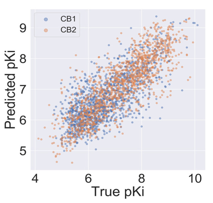 Autocorrelation of experimental and predicted pKi values for the CB1 model (blue) and the CB2 model (orange).