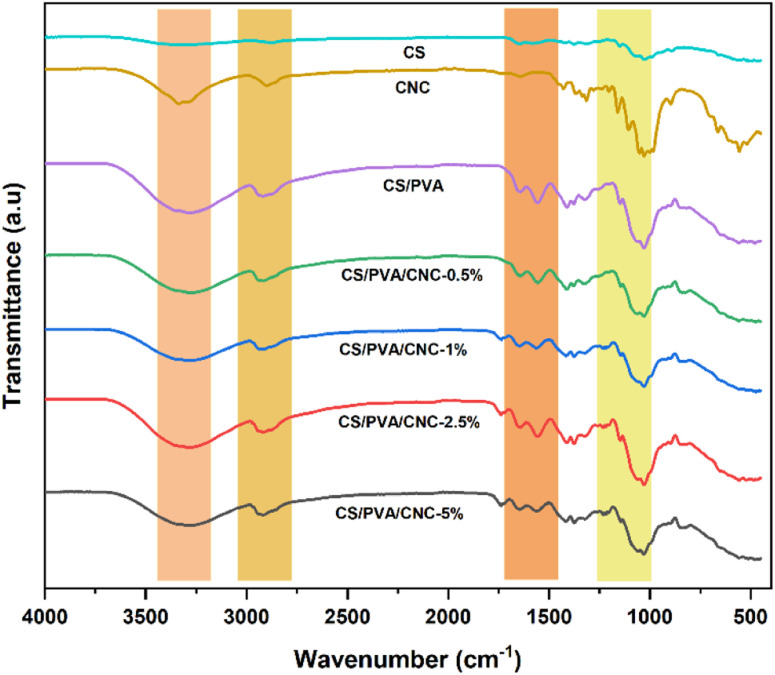 Fourier transform infrared spectra of CNC, CS, CS/PVA, CS/PVA/CNC-0.5%, CS/PVA/CNC-1%, CS/PVA/CNC-2.5% and CS/PVA/CNC-5%.