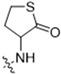 antioxidants-13-00478-i011.jpg