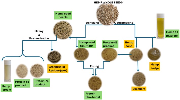 Schematic representation illustrating the production of different hemp seed‐based foods (green) and by‐products (orange) via milling and pasteurization and cold pressing.