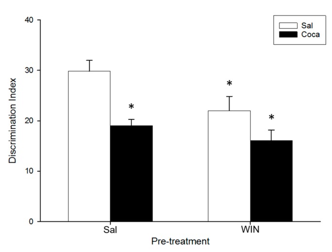 Effect of WIN 55212-2 administration during adolescence on novel object recognition after cocaine withdrawal in adulthood. Over PND 34–47 (adolescence) mice (n = 10 per group) were pre-treated with Sal or WIN (0.5 mg/kg given once daily). In adulthood (21 days later) they were treated with Sal or Coca in three daily injections separated by a 60-min interval according to the ensuing regime: 5 mg/kg on PND 68 and 69, 15 mg/kg from PND 70 to 72, a two-day abstinence period, and 25 mg/kg from PND 75 to 79. Animals were tested on PND 82. Bars depict mean ± SEM of the Discrimination Index (DI) for all groups (* p < 0.05 significantly different from the Sal–Sal group).