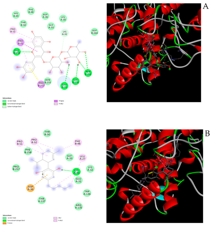 (A) Putative interactions between rutin and tyrosinase (PDB: 5I3B). Free energy of binding (ΔG) and affinity (Ki) are −8.3 kcal/mol and 0.8 µM, respectively; (B) putative interactions between cannabidiolic acid and tyrosinase (PDB: 5I3B). Free energy of binding (ΔG) and affinity (Ki) are −6.3 kcal/mol and 24.4 µM, respectively. (C) Putative interactions between cannabidiol and tyrosinase (PDB: 5I3B). Free energy of binding (ΔG) and affinity (Ki) are −6.2 kcal/mol and 28.9 µM, respectively.