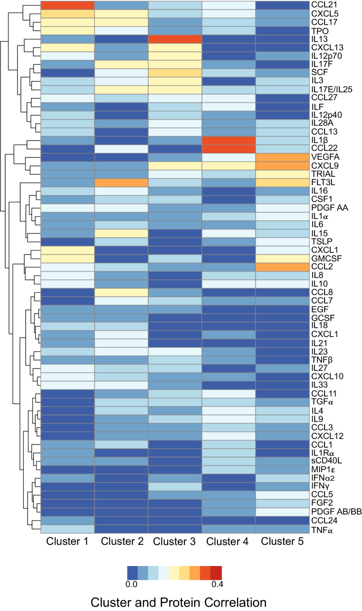 Correlation of each cluster to ELISA proteins identifies which immune factors are most specific to each disease. Singular value decomposition (SVD) was conducted on a partial correlation matrix between each cluster and ELISA proteins after adjusting for age and gender, where each column corresponds to a cluster and each row corresponds to an ELISA protein. The resulting heatmap demonstrates which immune proteins best correlate to each cluster/disease. From this heatmap, the top 5 candidate proteins that are distinct for each cluster/disease were selected. Blue represents low correlation and red represents high correlation
