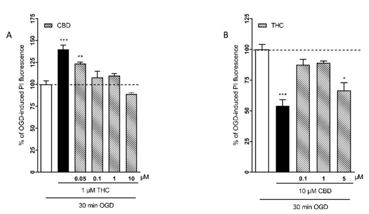 Effects of different combinations of THC and CBD concentrations in rat organotypic hippocampal slices exposed to OGD. (A) When the slices were incubated with the relative concentrations of CBD increased (0.1–10 µM), the neurotoxic effect of THC was lost. (B) The combination of 10 µM CBD with 5 µM THC was neuroprotective, but when the relative concentrations of THC were lower, the effect was lost. Bars represent the mean ± SEM of at least 5 experiments run in quadruplicate. * p < 0.05, ** p < 0.01 and *** p < 0.01 vs. OGD (one-way ANOVA plus Dunnett’s test).