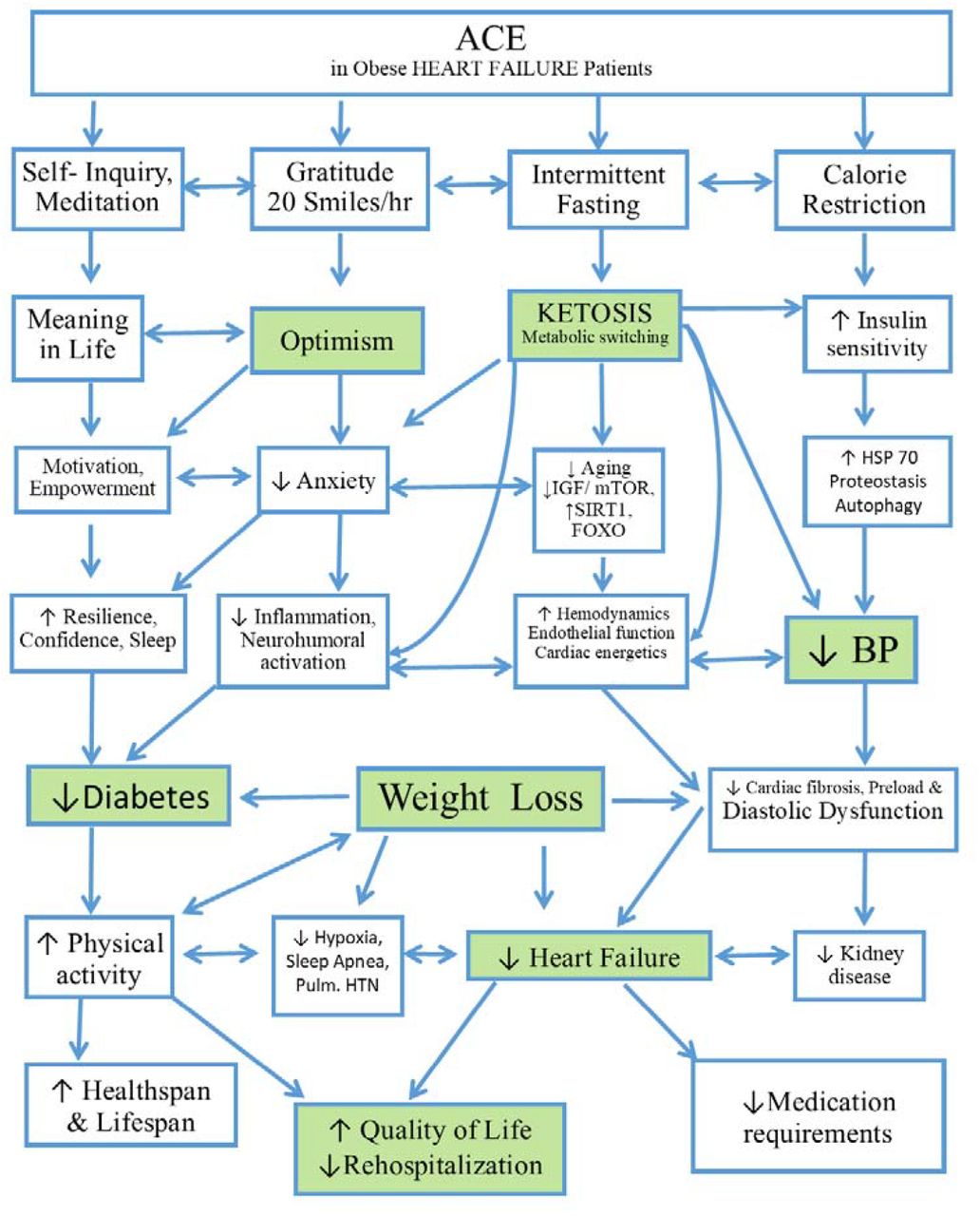 Advanced Cardiac Energetics (ACE) targets mental energy gains through self-inquiry and gratitude experience as well as mindful eating through fasting and calorie restriction with significant individual variability. There are several pathways that are likely implicated and synergetic accounting for the holistic empowerment achieved. The boxes highlighted in green are the mechanisms that routinely achieved in our pragmatic outcomes program.