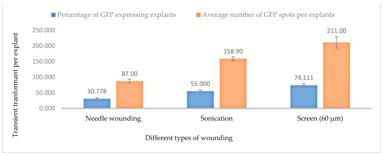 Effect of different wounding methods on transformation efficiency based on GFP expression. Infection frequency was calculated as the percentage of GFP-positive explants from 3-week-old leaves out of the total number of explants examined. The number of GFP foci per explant is the average number of GFP-positive foci in at least three independent explants. The data are represented as means ± standard error (SE). To optimize the individual parameter, each experiment contained 25 to 30 samples and each experiment had 3 replications (n = 75).