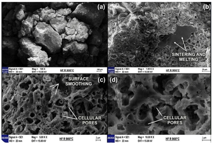 SEM images of the control sample at 900 °C: (a) sintering and melting regions (100×); (b) surface smoothing (1.00 KX); (c) cellular pores (5.00 KX); (d) detailed cellular pores (10.00 KX).