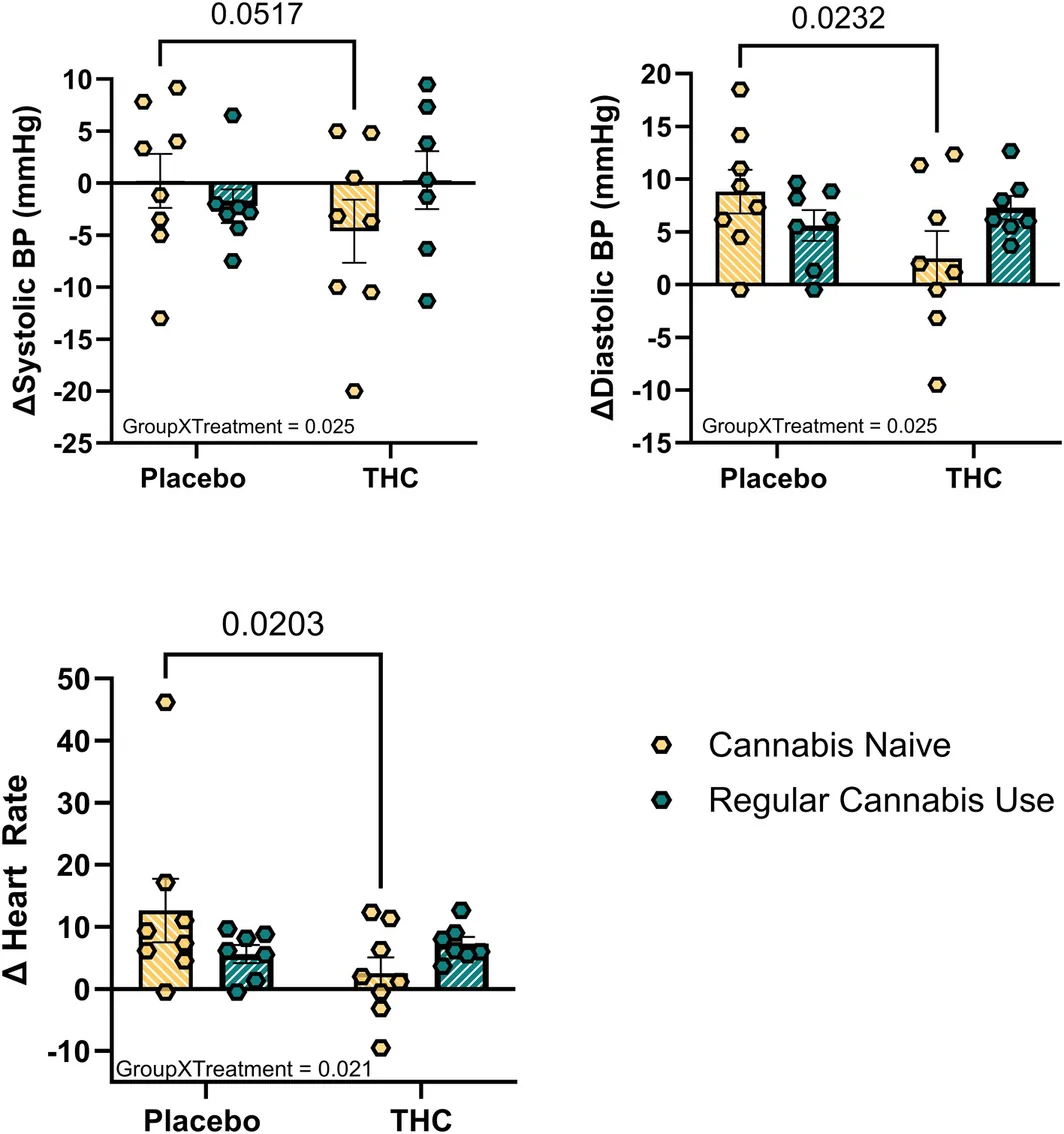 Blood pressure and heart rate reactivity to tilt. Changes in systolic arterial pressure, diastolic arterial pressure, and heart rate during tilt from baseline represented as individual data points and bar graphs. Changes in systolic arterial pressure, diastolic arterial pressure, and heart rate during tilt from baseline represented as individual data points and bar graphs. No cannabis use placebo (n = 8) due to missing blood pressure value. No cannabis use‐THC (n = 8) due to participant ending study early. Regular cannabis use placebo and THC (n = 7) due to one participant not consenting to test and one participant presenting with arrhythmia. Mean ± SD.
