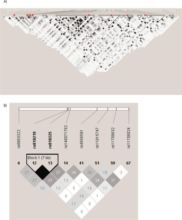 Linkage disequilibrium in the CADM2 locus in UK Biobank with (A) the lead SNPs, Index SNPs and independent loci, (B) the lead and index SNPs. SNPs are arranged in order of base pair position. Red dots indicate the lead and index SNPs.
