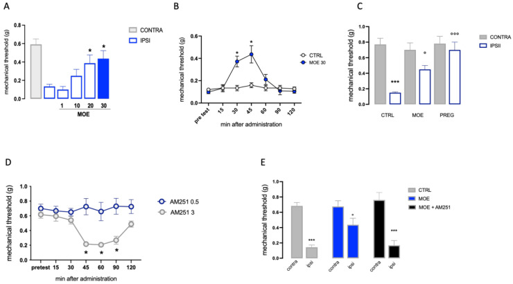 The antiallodynic activity of MOE in SNI mice. (A) Dose-response curve for the attenuation of mechanical hypersensitivity in SNI mice by MOE (1–30 mg/kg p.o.), the blue bar indicated the dose used. (B) Time-course evaluation of the increase in the mechanical threshold by MOE 30 mg/kg. (C) Comparison of the MOE activity with pregabalin (PREG) used as a reference drug. (D) Determination of the non-hyperalgesic dose of AM251 in the uninjured contralateral side. (E) Prevention of MOE antiallodynic effect by AM251 (0.5 mg/kg). CONTRA: contralateral side; IPSI: ipsilateral side; CTR: control group. * p < 0.05, *** p < 0.001 vs. CTRL; ° p < 0.05, °°° p < 0.001 vs. IPSI.