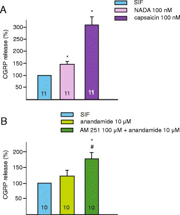 Effects of endovanilloids on meningeal CGRP release. Relative changes in the CGRP concentration are indicated after NADA (100 nM) and capsaicin (100 nM) applications (a) and after anandamide (10 μM) application with and without prior AM 251 (100 μM) treatment (b). The number of experiments is indicated in the bars. *: statistically different from the CGRP releasing effect of SIF, #: statistically different from the CGRP releasing effect of anandamide (p < 0.05)
