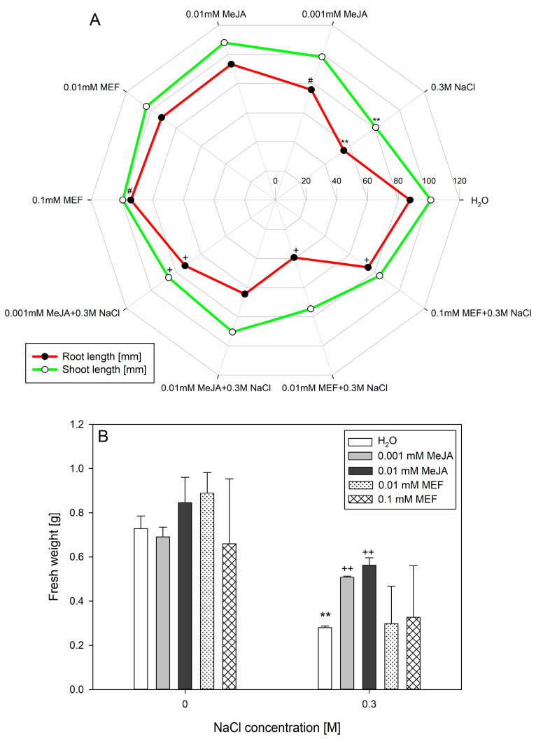 Effects of methyl jasmonate (MeJA) and mefenamic acid (MEF) on root and shoot length (A) and fresh weight (B) of 25-day-old hemp cultivated under salt stress conditions. Treatments included NaCl (0.3 M), MeJA (0.001 mM and 0.01 mM), MEF (0.01 mM and 0.1 mM), and their combinations. Values represent means ± SD. Statistical significance: NaCl vs. H2O ** p ≤ 0.01; MeJA/MEF vs. H2O # p ≤ 0.05; MeJA/MEF + NaCl vs. NaCl ++ p ≤ 0.01, + p ≤ 0.05.