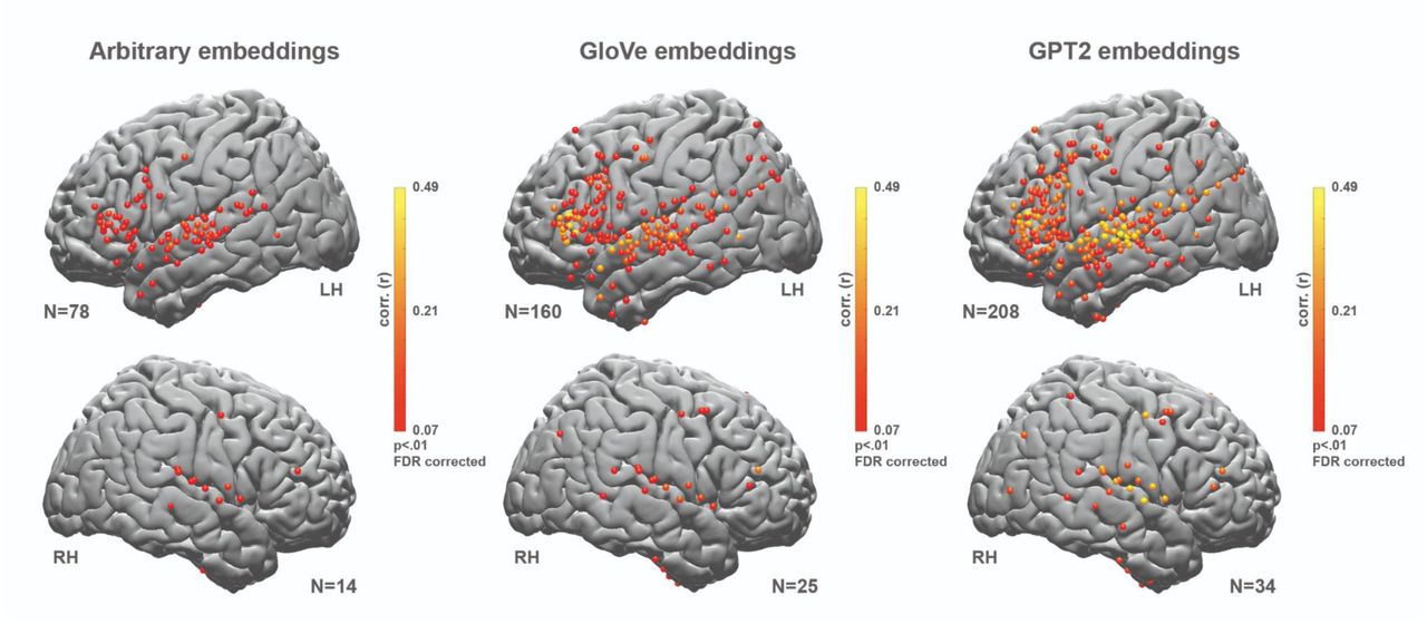 Left and right hemisphere encoding results show an advantage for contextual (GPT-2) embeddings over static (GloVe) and arbitrary embeddings.Right Hemisphere maps for correlation between. A) Predicted and actual word responses for the arbitrary embeddings (nonparametric permutation test; q < .01, FDR corrected). B) Correlation between predicted and actual word responses for the static (GloVe) embeddings. C) Correlation between predicted and actual word responses for the contextual (GPT-2) embeddings. Using contextual embeddings significantly improved the encoding model’s ability to predict the neural signals for unseen words across many electrodes. Given that we had fewer electrodes in the right hemisphere relative to the left hemisphere, this study is not set up to test differences in language lateralization across hemispheres.