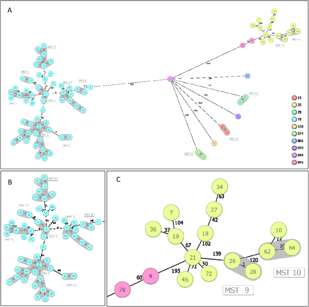 A: Minimum spanning tree of the 83 carbapenem-resistant Acinetobacter baumannii isolates based on core genome multilocus sequence typing (cgMLST). Nodes represent the isolates which are colored by ST Pasteur, MST clusters are shaded, and numbers between the nodes indicate the number of allelic differences. Major ICs are shown, IC5 (B) and IC7 (C).