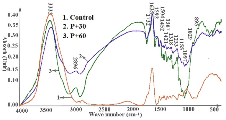Effect of pectinase pretreatment on FTIR spectra of a 70:30 wood/hemp hurd fiber mixture.