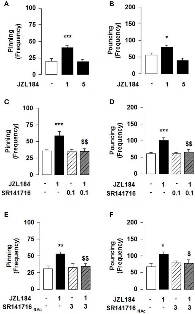 2-AG elevation stimulates social play via CB1R in the NAcC in adolescent rats. JZL184 (1 mg/kg, i.p.) enhanced pinning (A) and pouncing (B) frequency. Systemic pretreatment with the CB1R antagonist SR141716 (0.1 mg/kg, i.p.) blocked the effects of JZL184 on pinning (C) and pouncing (D). Intra-NAcC infusion of SR141716 (3 μg/0.3 μl) antagonized the play-enhancing effects of JZL184 (1 mg/kg, i.p.) (E,F). Data represent mean ± S.E.M. frequency of pinning and pouncing. *p < 0.05, **p < 0.01, ***p < 0.001 vs. vehicle; $p < 0.05, $$p < 0.01 vs. vehicle/JZL184 (Student-Newman-Keuls post-hoc test). N = 7–9 per treatment group.